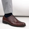Alberto Torresi Brown Formals Lace-Ups -Modern Shoes World 88651 BROWN 8 3778e61d 464a 4c4a af5c 484975f3e925