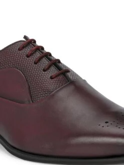 Alberto Torresi Genuine Leather 685 Bordo Office/ Dress Formal Lace Up Shoes -Modern Shoes World 88685 BORDO 8