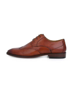 Alberto Torresi Genuine Leather Tan Formal Derby Shoes -Modern Shoes World 88688 TAN 4 672d040d 0ca1 4751 9010 48c4389946c5