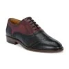 Alberto Torresi Genuine Leather Black Bordo Brogue Formal Lace Ups -Modern Shoes World 88689 BLACK BORDO 1