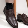 Alberto Torresi Brown Formal Brogue Shoes